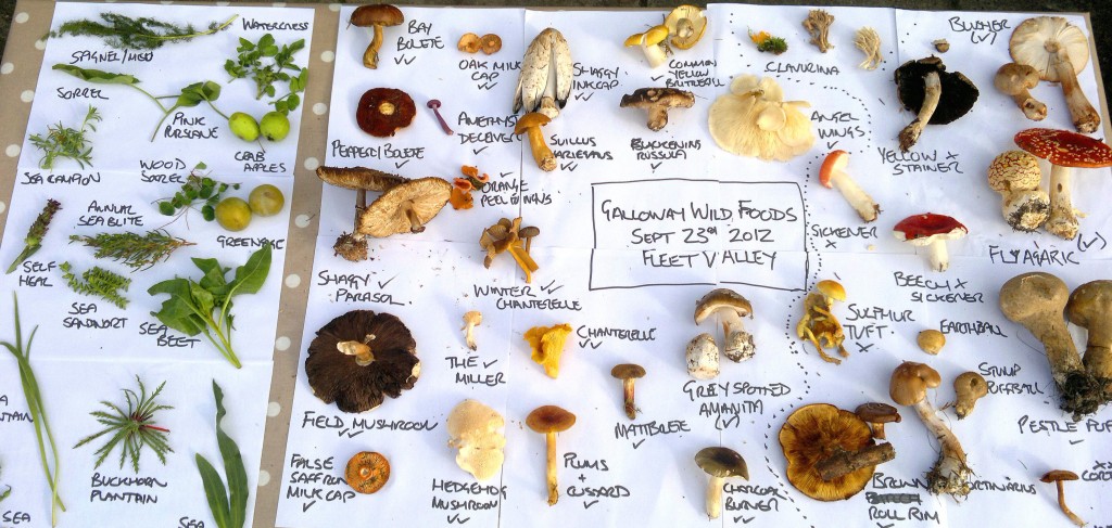 Access your wild food resources