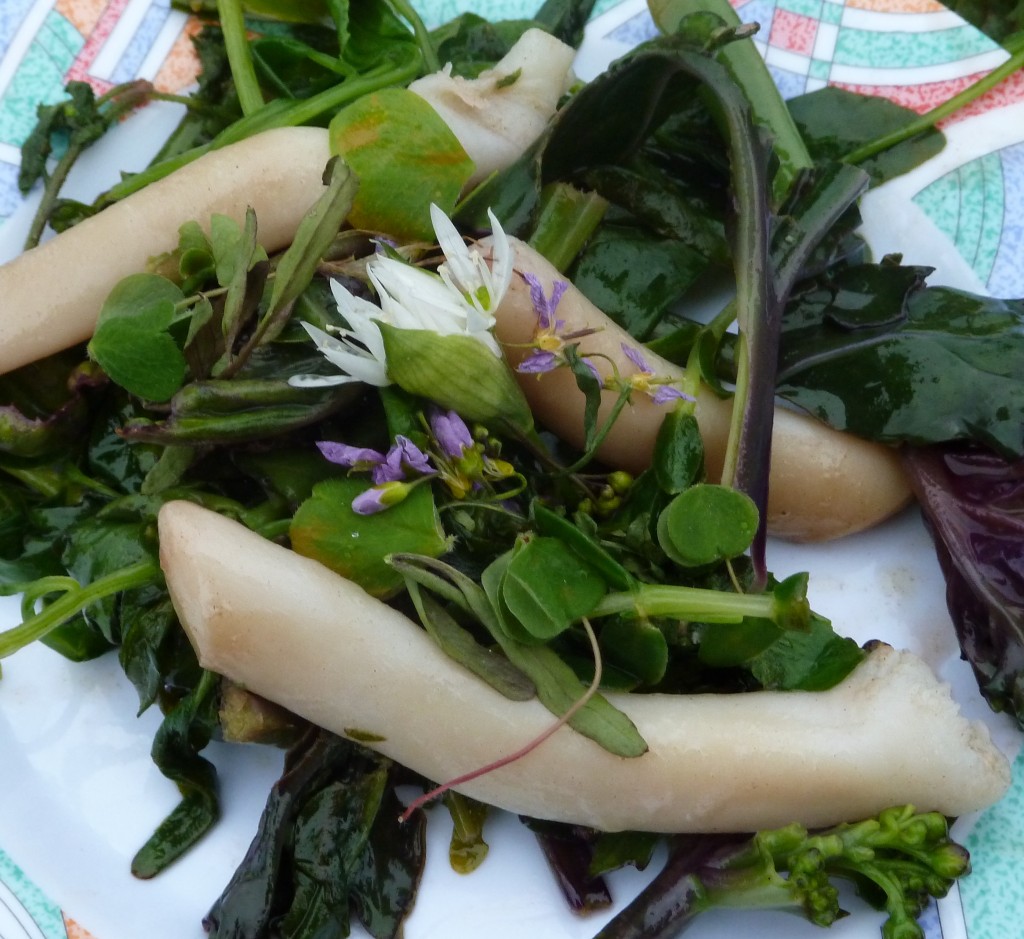 Raw spoot with ramsons and spring herbs