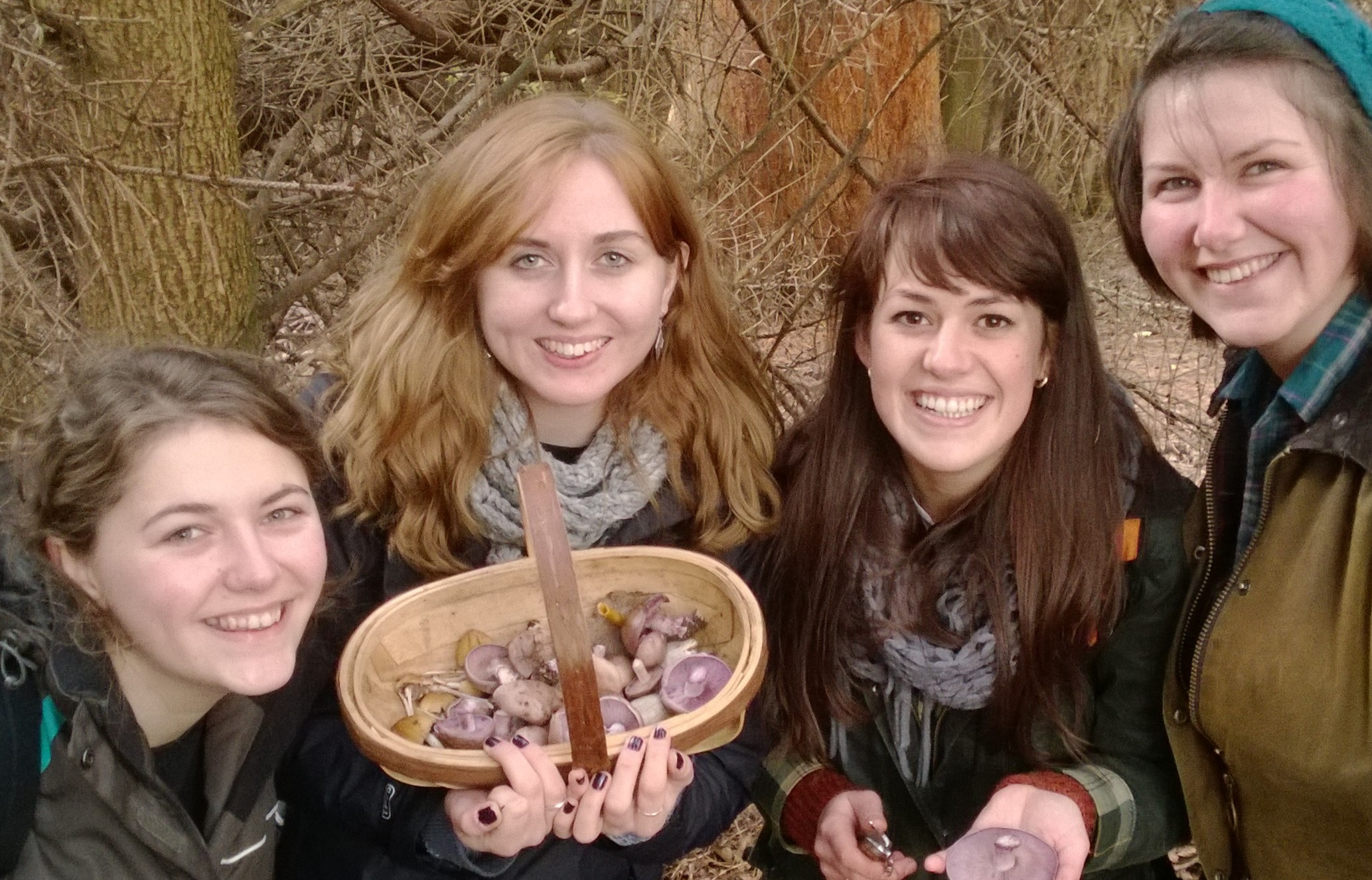 Fungi Foraging Walk, Lake District Galloway Wild Foods