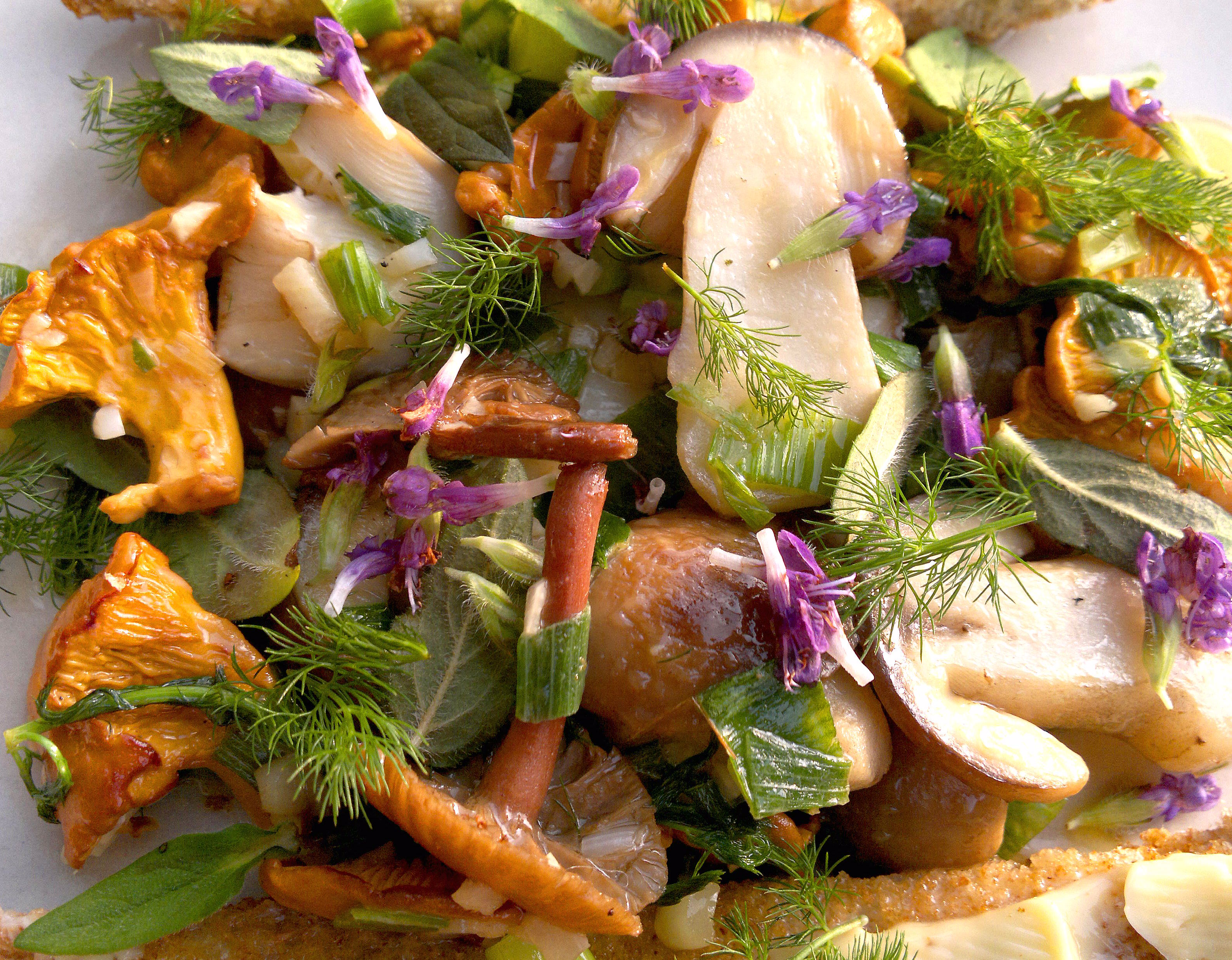 late summer wild food