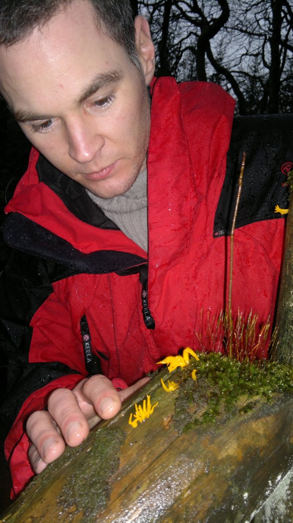 discovering fungi