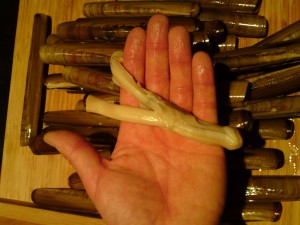 spoot meat, razor clam, foraging, wild food