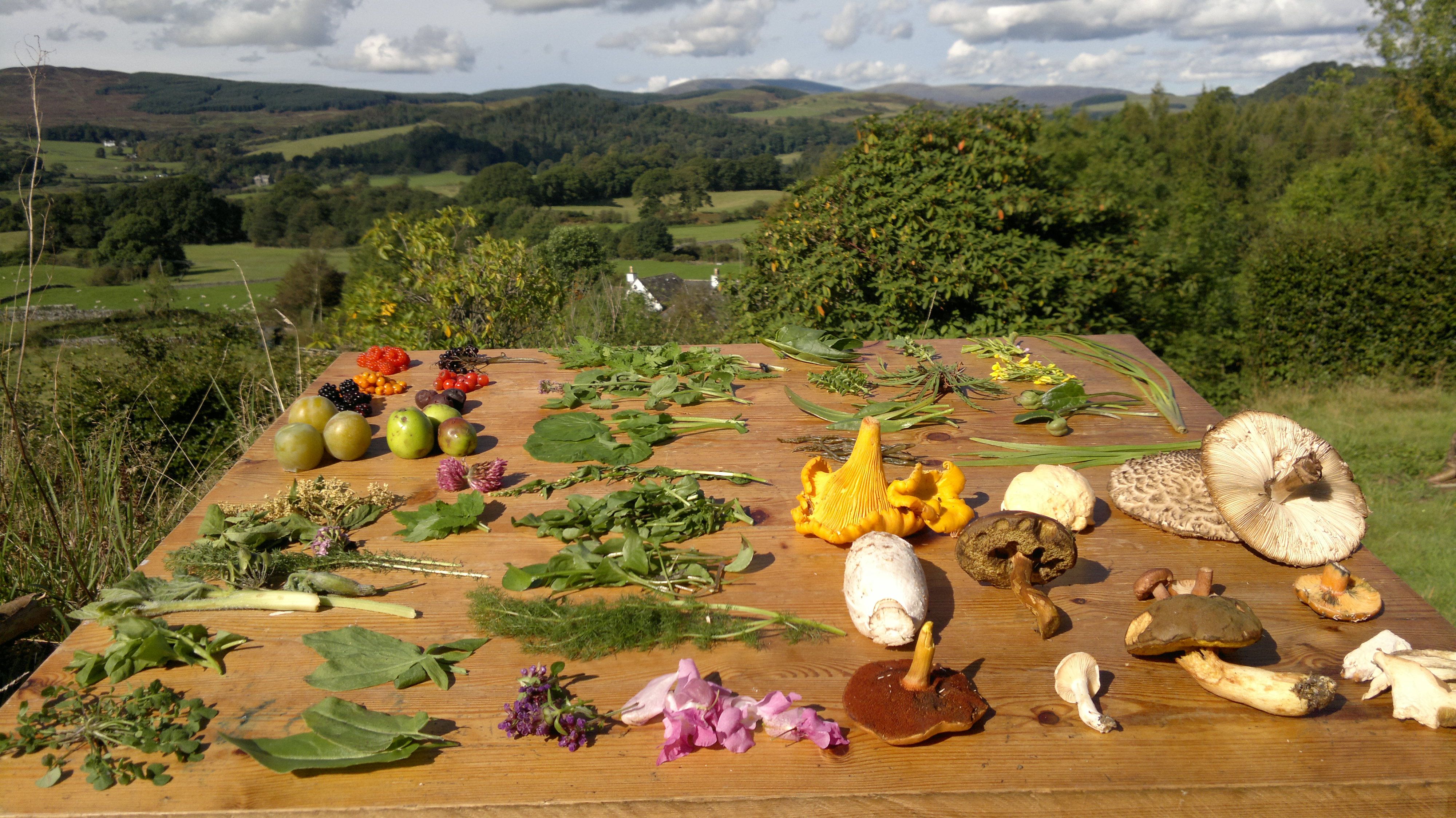 Wild Resources StockTaking Galloway Wild Foods