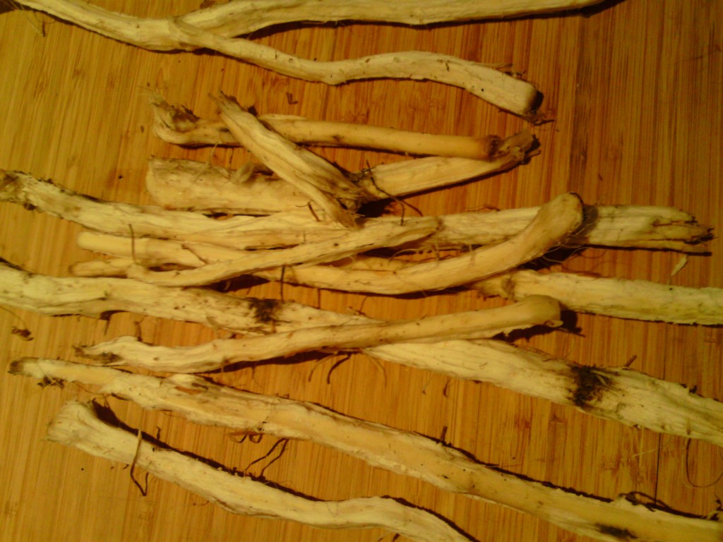Wash and peeled reedmace rhizomes