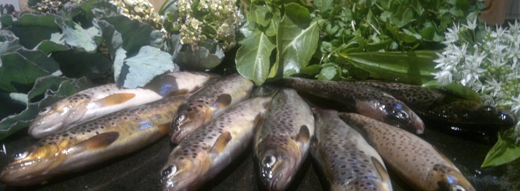 brown trout, sea kale, sea beet, watercress, ramsons