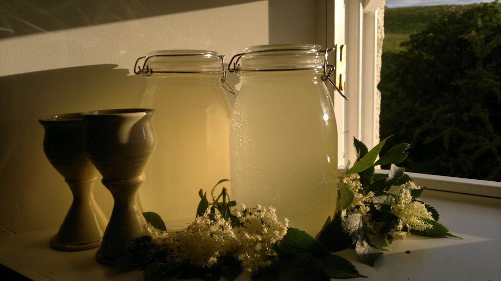 elderflower champagne