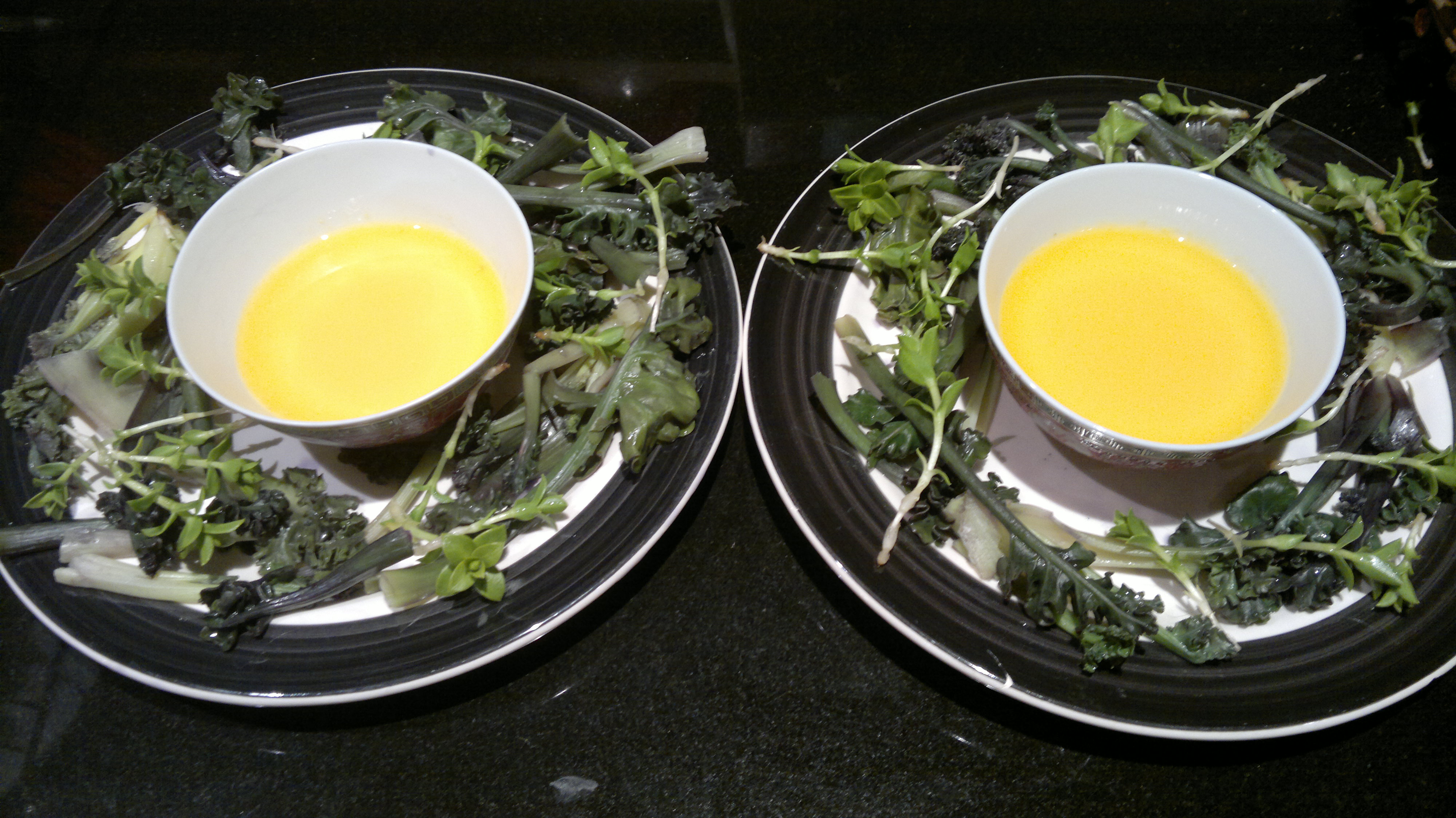 Sea Kale identification, edibility and distribution Galloway Wild Foods