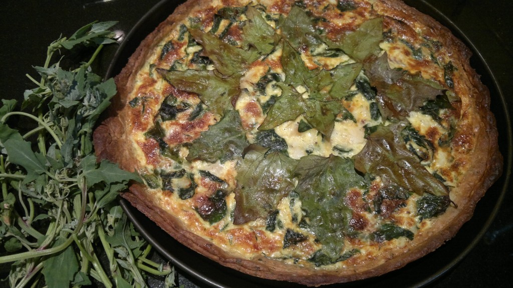 Smoked haddock and orache orache tart