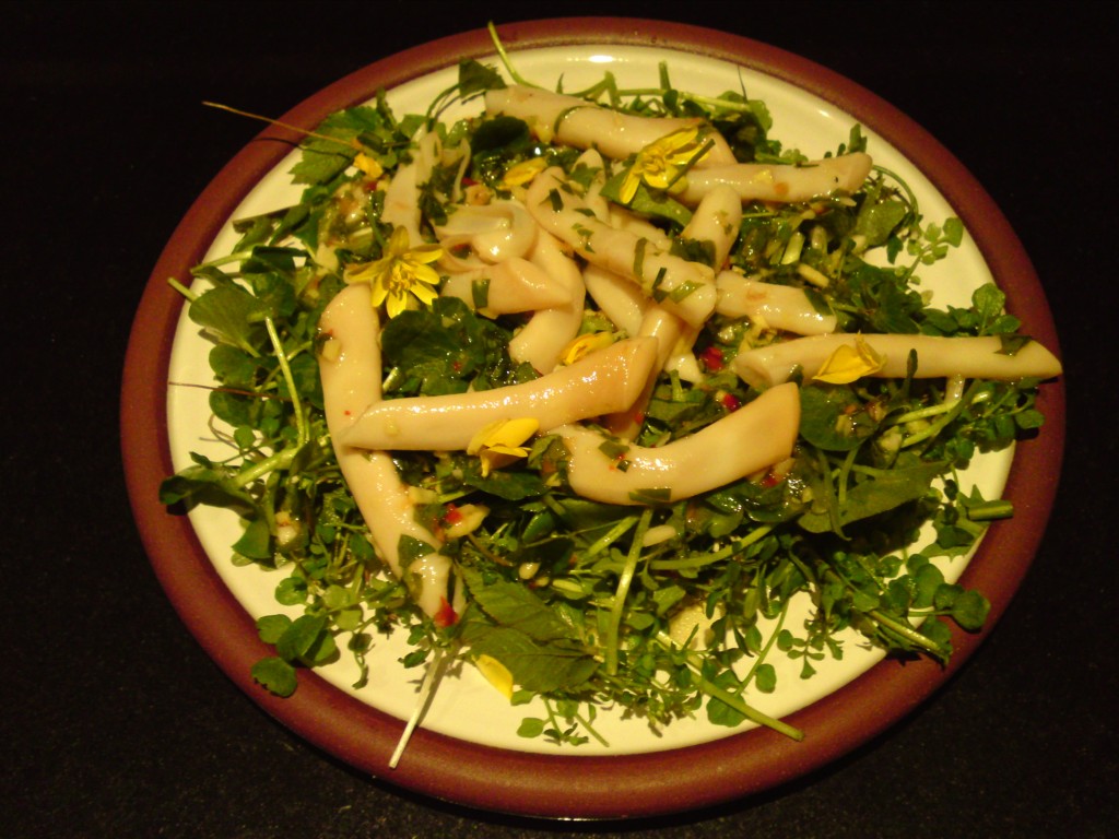 wild salad+spoots4