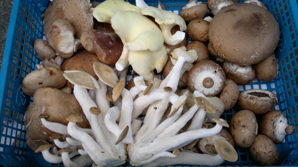 “Local” meat and “wild” mushrooms Galloway Wild Foods