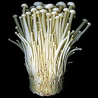 enoki