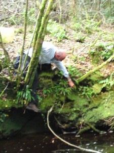 foraging riverbank1