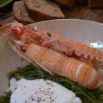 samphire+poached egg+langoustine