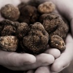 Handful of Truffles