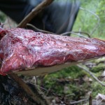 ox tongue