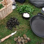 foraged