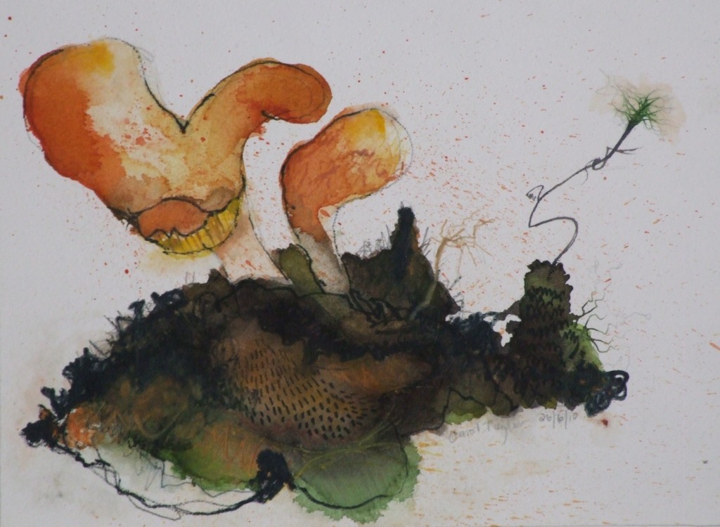 'Study of fungi on moss'. JPG