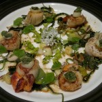 Scallops, wilted ramsons + nettle tops, reedmace, sweet cicely puree, wood sorrel, saxifrage