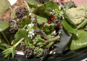 wild salad with elderberry vinegar
