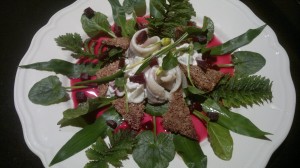 Sweet pickled herring, spring leaves, elder vinegar