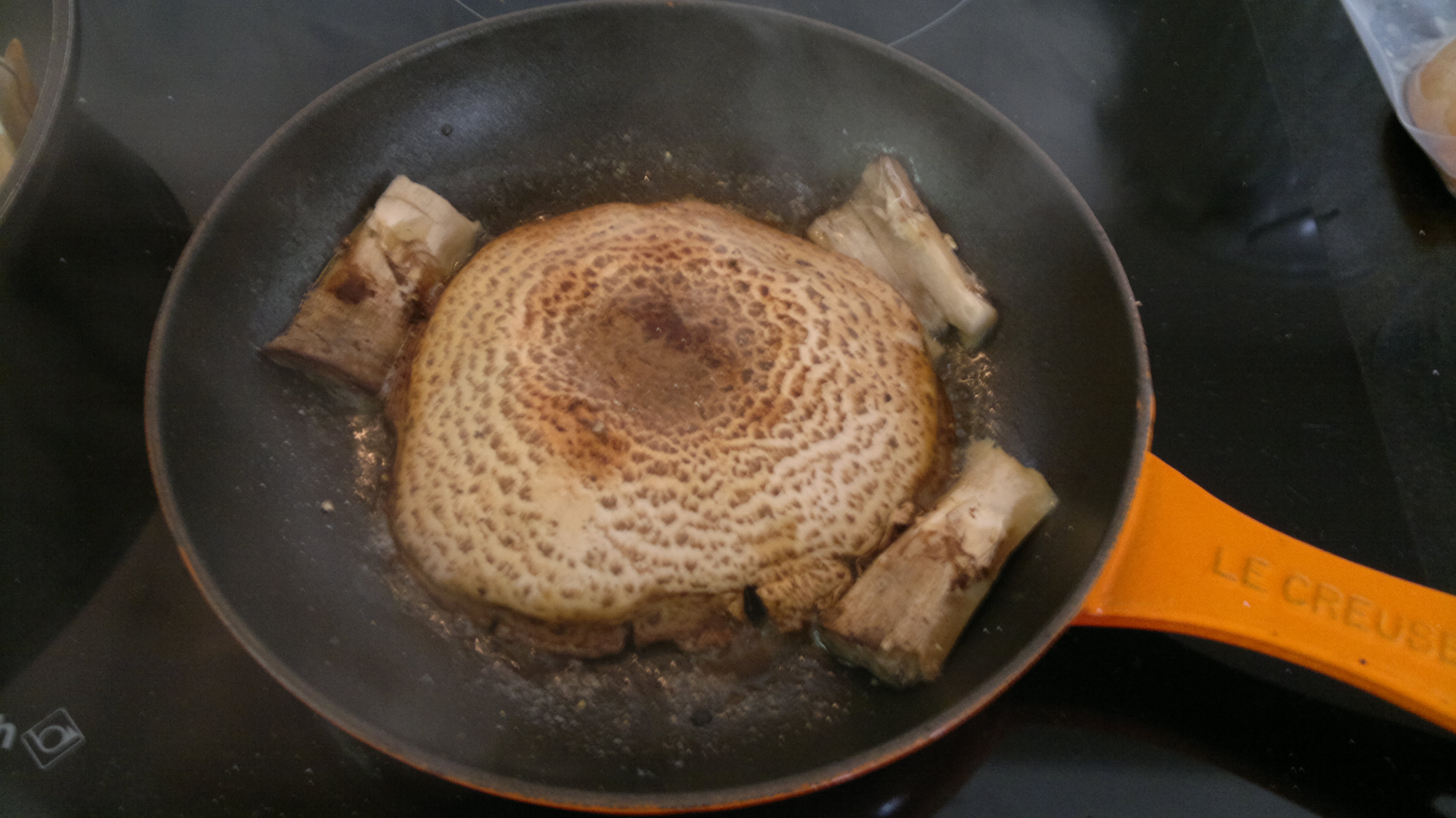 Horse Mushrooms Edibility, Identification, Distribution Galloway