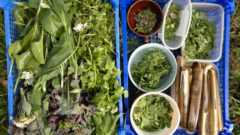 spring bounty pallet