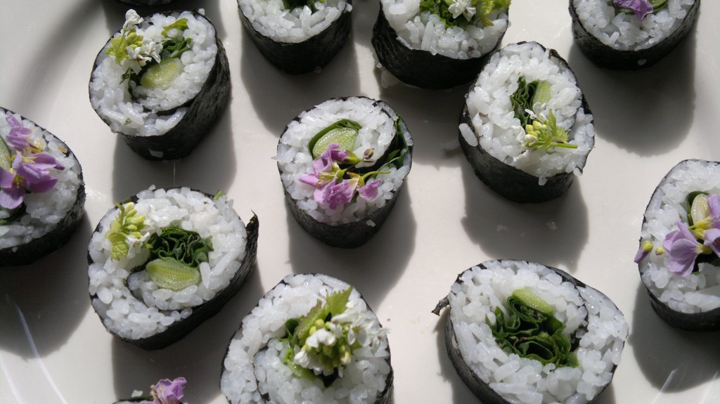 wild sushi close4