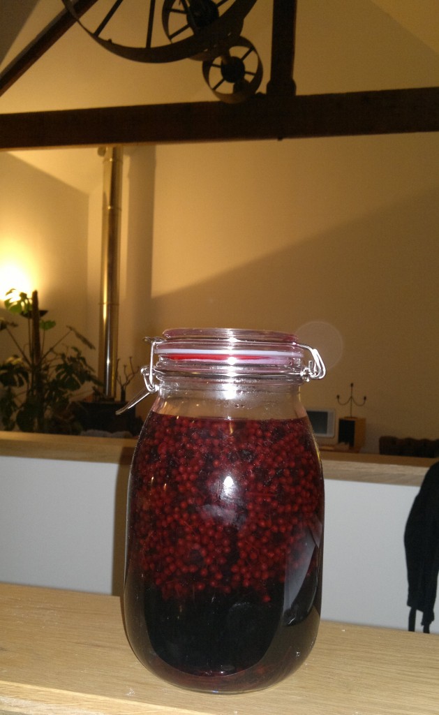 elderbberry vinegar steeping