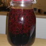 elderbberry vinegar steeping