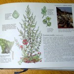 book readers digest inside