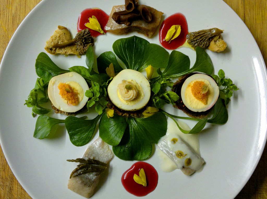 Herring pickled 3 ways with pink purslane, beetroot, pumpernickel, smoked egg, creamed roe, preserved chanterelles, hedgehog fungi & jelly ear, sweet elderberry vinegar and broom flowers.