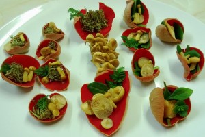 Baby velvet shank, elf cup and lichen sushi