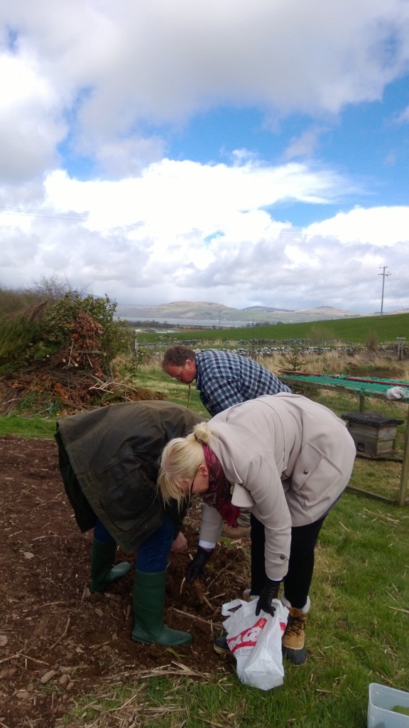 Anything was fair game - we visited my friend Steve who has a smallholding near Wigtown and dug some beautiful jerusalem artechokes