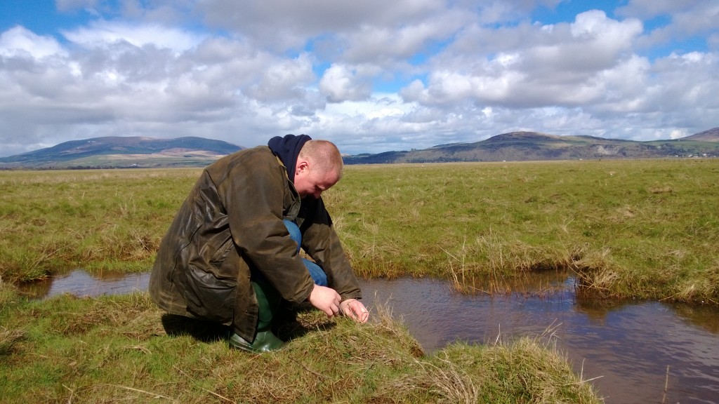 Back to the graft...