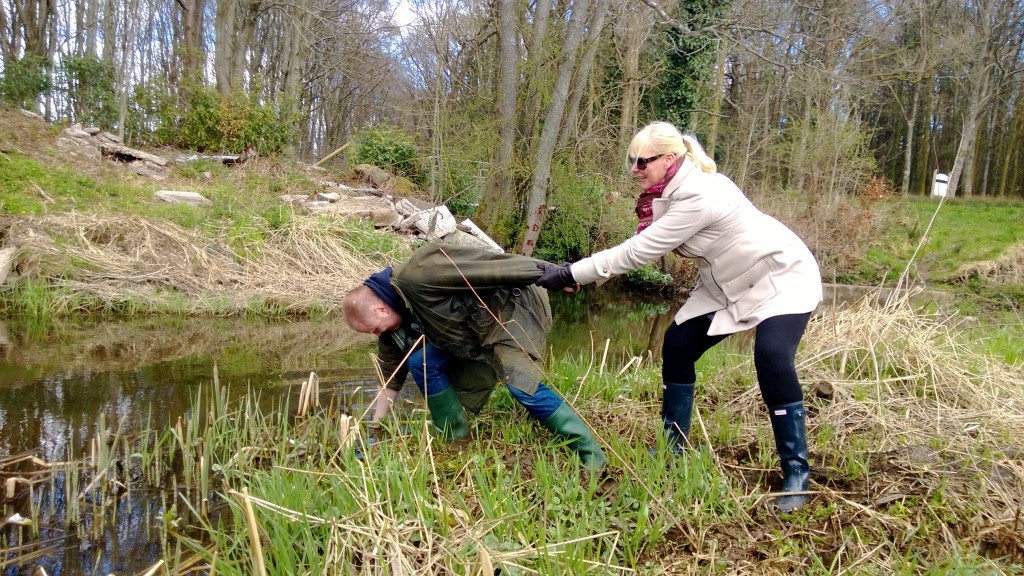 In my favourite swamp, we all had cameras and jeers poised for splashdown as people stretched for the best reedmace shoots...