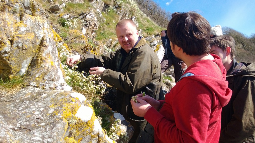 Chris and Gary gathering sea campion shoots and flowers off the cliffs