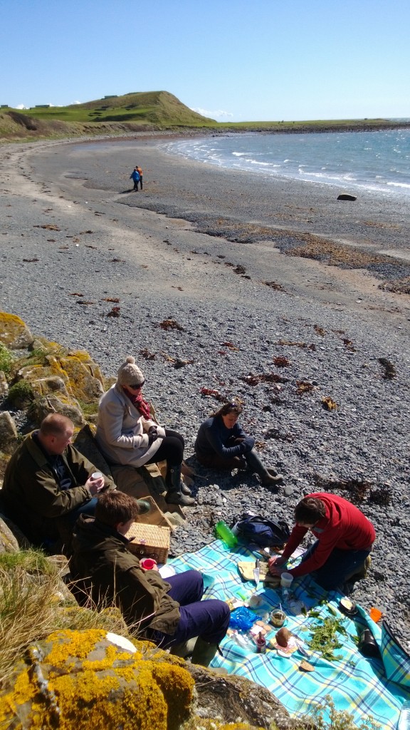 After a steady morning's picking, time for lunch in a nice spot. Galloway cheeses, smoked meats, elderflower champagne and lots of fresh spring greenery rolled into sushi