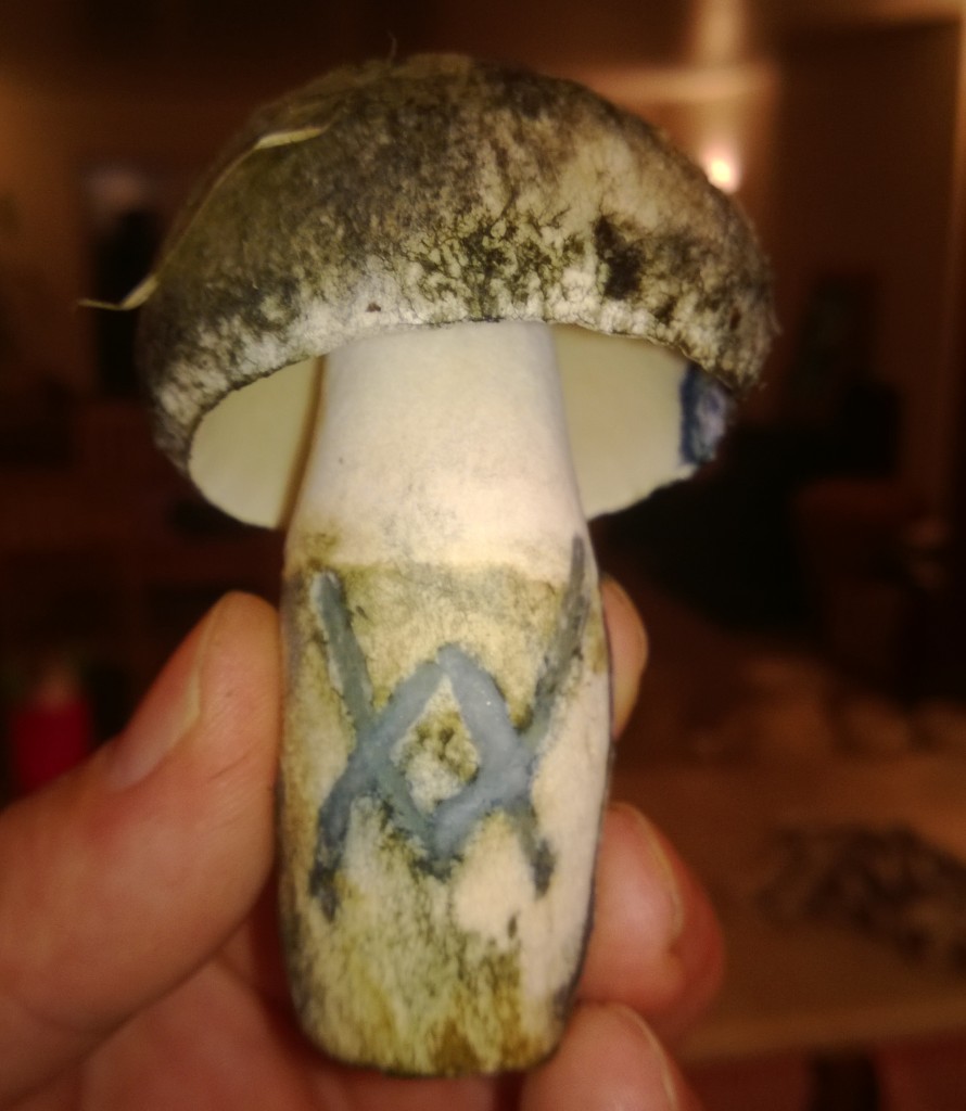 Cornflower bolete - gyroporus cyanescens WP_20130830_023