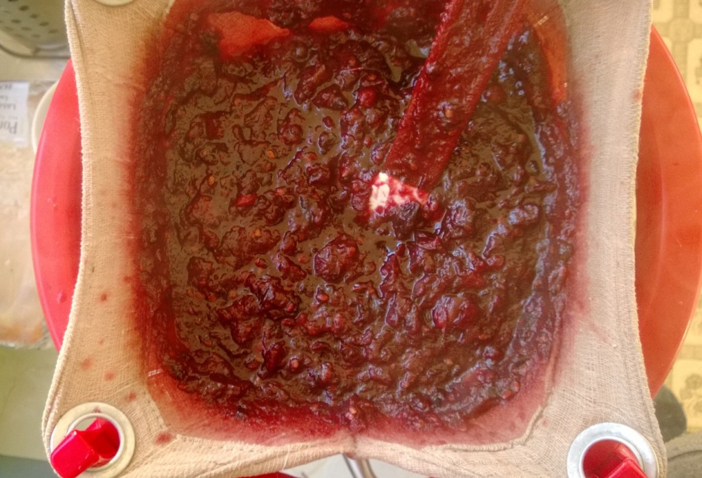 Wild fruit jelly making WP_20131120_002