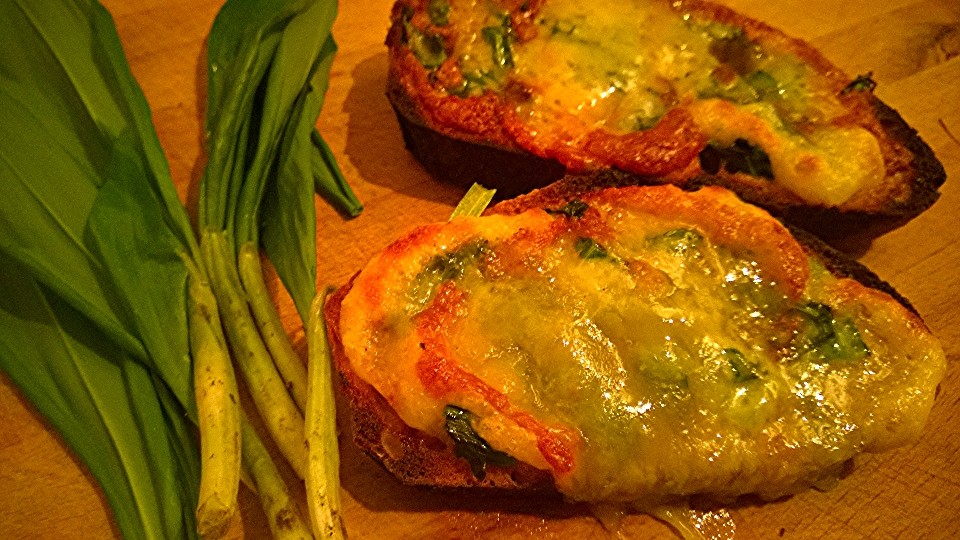 Cheese, fermented & fresh wild garlic on toast
