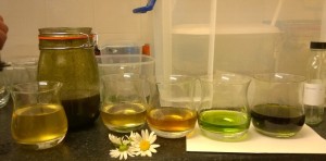Wild macerations, vinegars, syrups and shrubs 