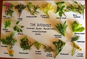 19 of The Botanist's 22 foraged Islay botanicals