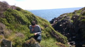 Foraged mixology guru Danny Whelan of Hawthorn Drinks meets his first wild juniper on Islay cliffs