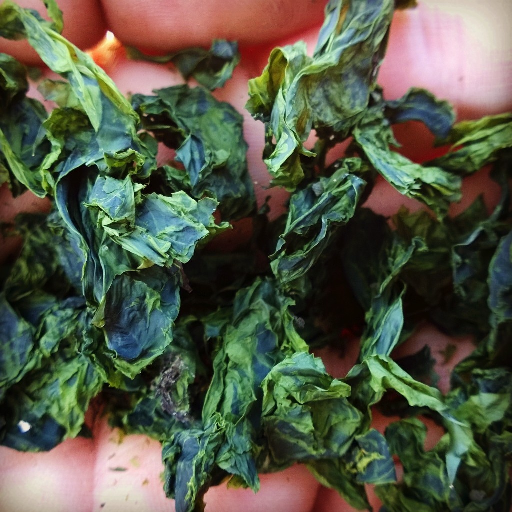 Sun dried sea lettuce