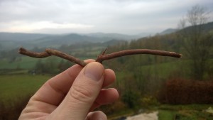 This is what a real magic wand looks like