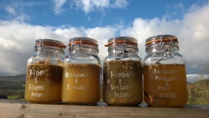 Playing with mead flavours and combiations