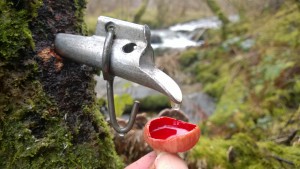 The slower way to drink birch sap