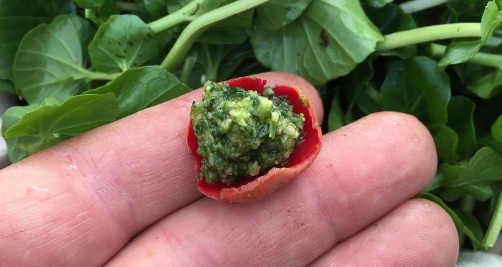 Amuse bush...Scarlet elf cup stuffed with wild garlic pesto.