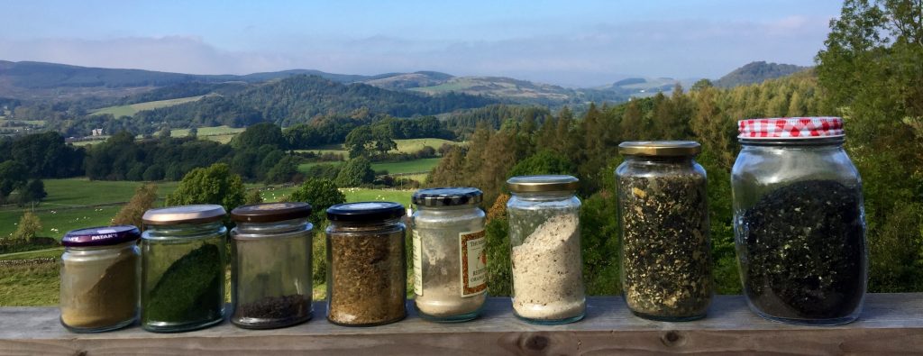 The Wild Spice Rack - the flavours of our landscape